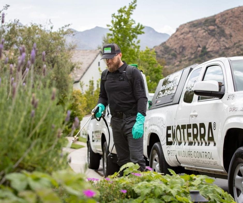 Revolutionizing Pest Control in the USA with Expertise, Innovation, and Eco-Friendly Solutions.