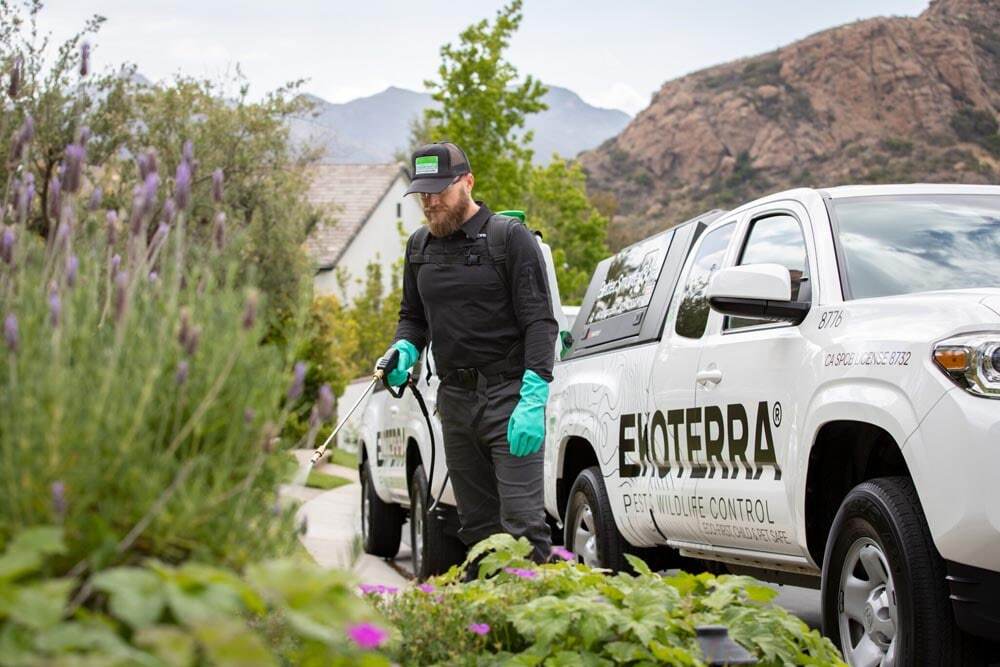The Latest Methods and Technologies in Pest Control